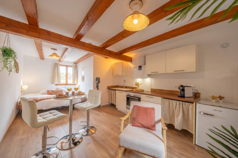 Le Céleste — studio Nexvisit à Sélestat, entre Strasbourg et Colmar